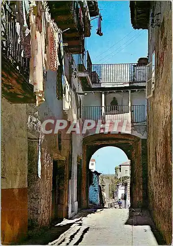 Cartes postales moderne Laredo L'Arc de la Blanca