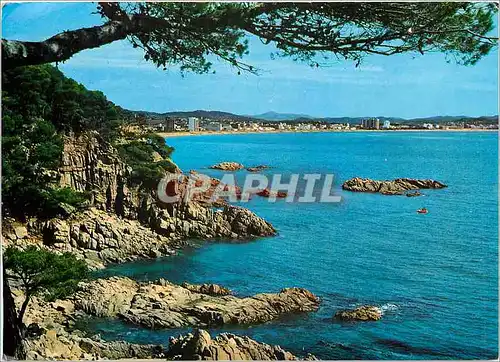 Cartes postales moderne Costa Brava San Antonio de Calonge vue de Treumal