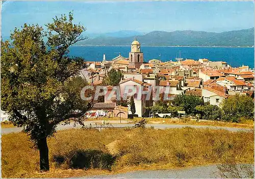 Moderne Karte Saint Tropez vue generale