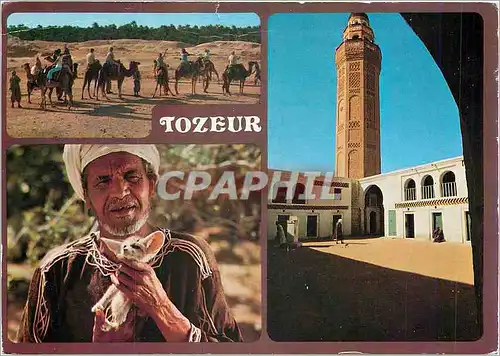 Cartes postales moderne Tozeur et St Tijani