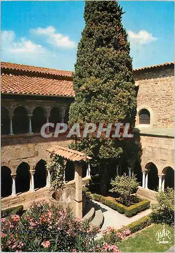 Cartes postales moderne La Cote d'Azur Frejus (Var) Le Cloitre (XIIe s)