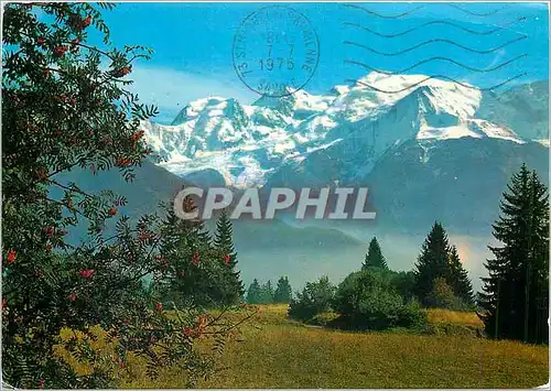 Cartes postales moderne Les Alpes Touristiques Le Mont Blanc (3807 m)