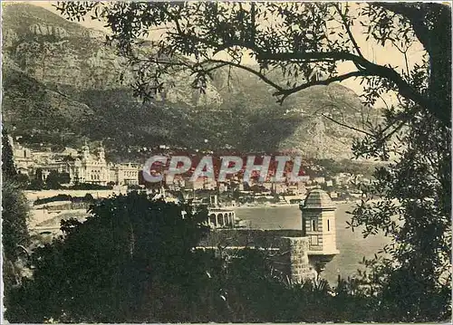 Cartes postales moderne Monte Carlo Entre les Arbres