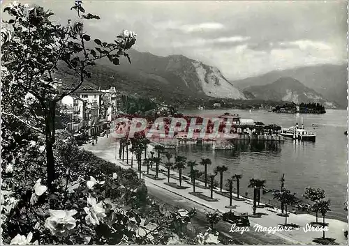 Cartes postales moderne Lago Maggiore Stresa