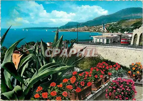 Cartes postales moderne Riviera dei Flori Ponte S Luigi Confis Italien et Francais la douane Francaise