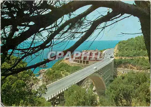 Cartes postales moderne Livorno Il romito