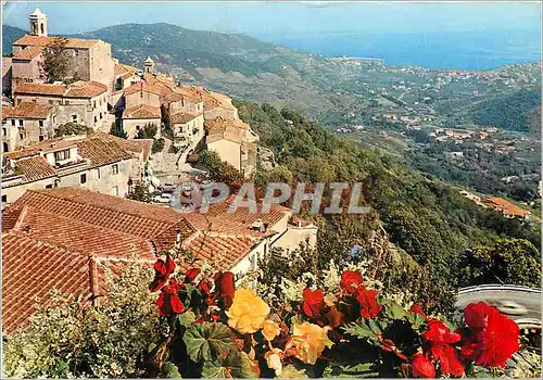 Moderne Karte Isola d'Elba Paggio et Marciana Marina