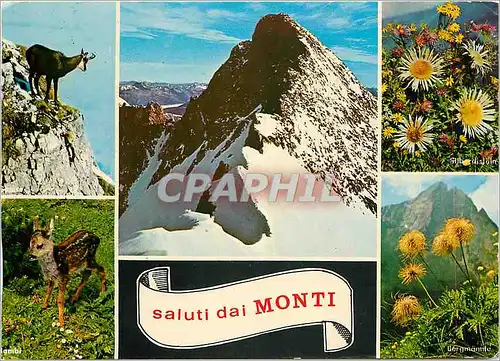 Cartes postales moderne Saluti dai Monti