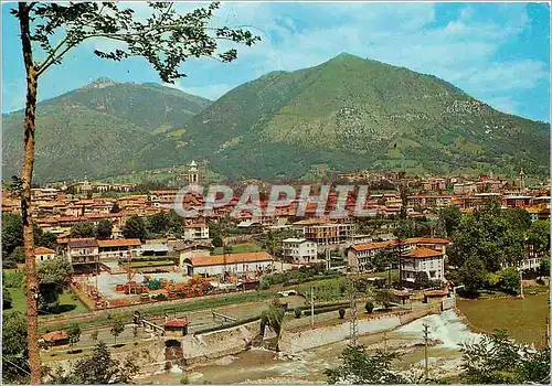 Cartes postales moderne Albino Panorama