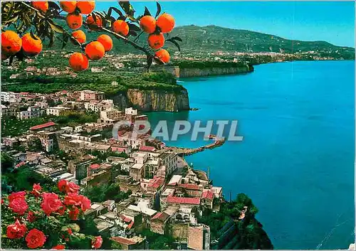 Cartes postales moderne Sorrento Panorama nach Osten