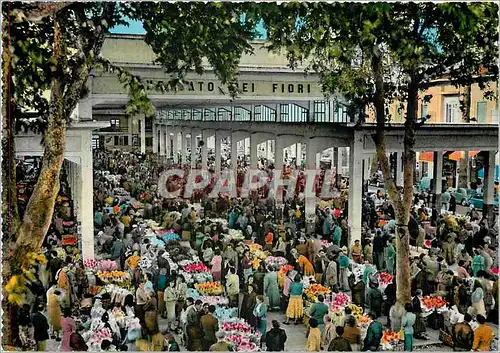 Moderne Karte Riviera dei Fiori Ventimiglia Marche des fleurs