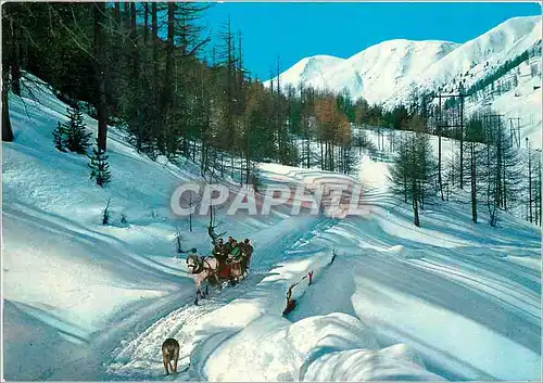 Cartes postales moderne Livigno m 1816 Particulier hivernal