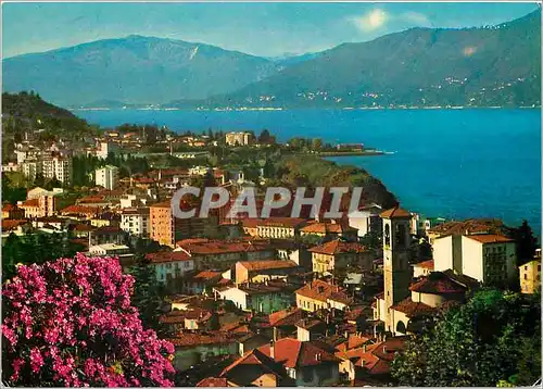 Cartes postales moderne Luino (Lago Maggiore) Panorama