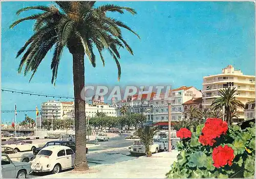 Cartes postales moderne Saint Raphael