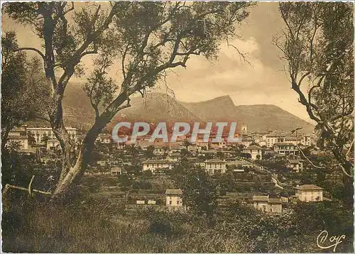 Cartes postales moderne Vence (A M) Vue generale et les Baous