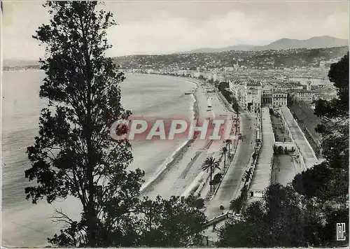 Cartes postales moderne Nice Vue prise du chateau