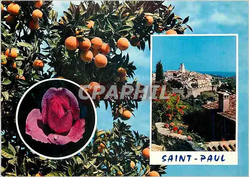 Cartes postales moderne Saint Paul (A M)