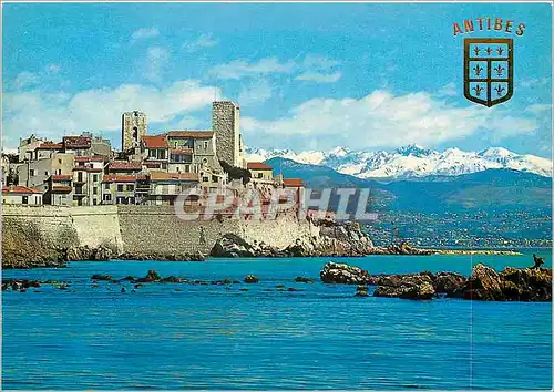 Cartes postales moderne Antibes Cote d'Azur French Riviera les remparts et la chaine des alpes enneigees