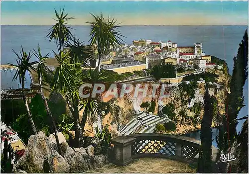 Cartes postales moderne La Cote d'Azur Le Rocher de Monaco vu des jardins Exotiques