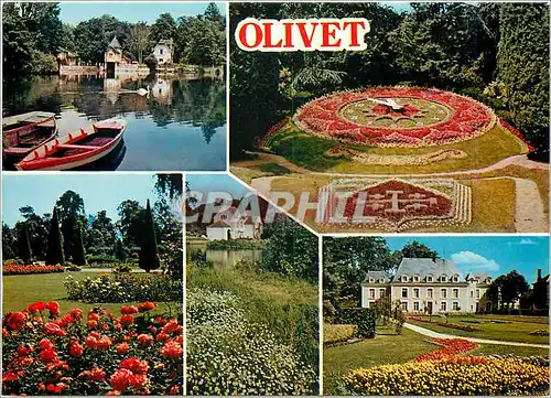 Cartes postales moderne Olivet (Loiret)