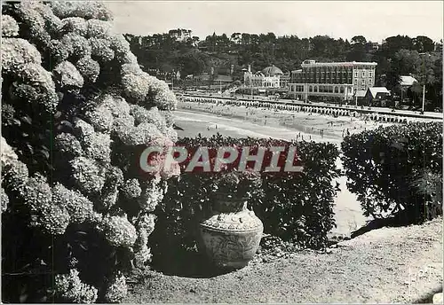 Cartes postales moderne Perros Guirec (C du N) Echappee fleurie sur la Plage de Trstraou