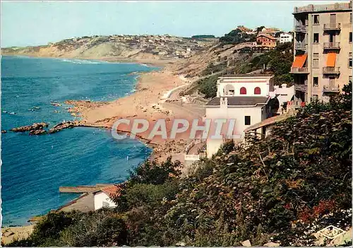 Cartes postales moderne Reflets de la Cote Basque Guethary Les deux Palges Guethary Bidart