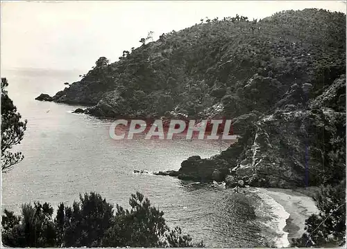 Cartes postales moderne La Corniche des Maures Cavalaire sur Mer (Var) Calanque de Bon Porteau