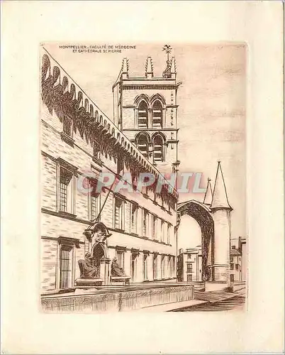 Cartes postales moderne Montpellier Faculte de Medicine et cathedrale St Pierre