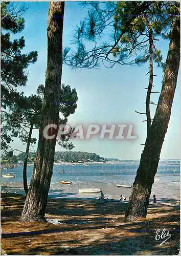 Moderne Karte Bassin d'Arcachon (Gironde) Un joli coin du Bassin