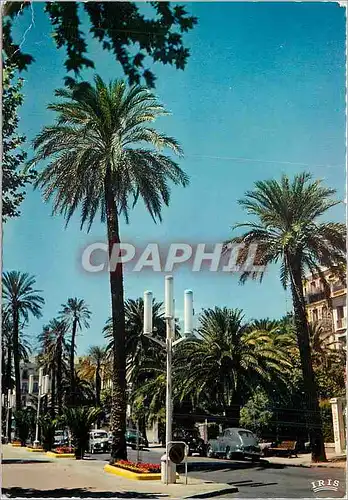 Cartes postales moderne Pays de la Cote d'Azur Hyeres les Palmiers (Var) Ses Belles Avenues