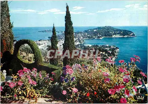 Cartes postales moderne La Cote d'Azur Le Cap Ferrat