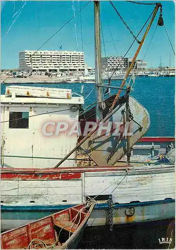 Cartes postales moderne Herault Touristique en Languedoc sur la Floride Francais Cannon avec son Port et sa Plage des Sa