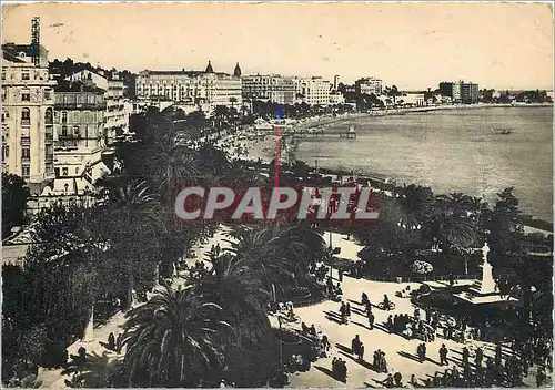 Cartes postales moderne La Cote d'Azur Cannes Les Jardins de la Croisette