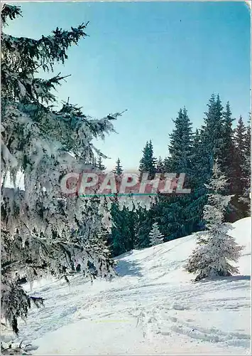 Moderne Karte Effet de Givre