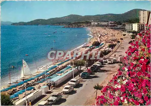 Cartes postales moderne La Cote des Maures Le Lavandou (Var) Vue generale  sur la plage et le Cap Benat
