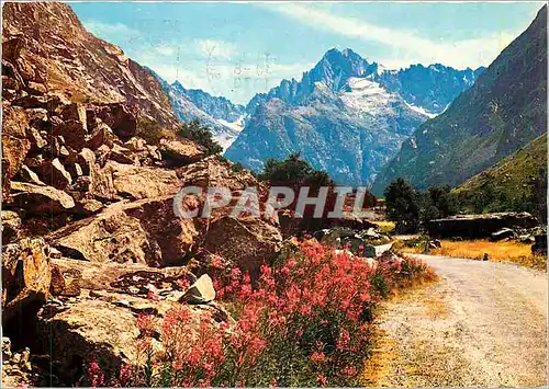 Cartes postales moderne Paysages de la Berarde Route de la Berarde Le Vallon des Etages alt 1700 m et les Ecrins (4102 m
