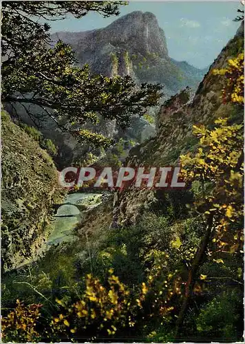 Cartes postales moderne Les Gorges du Verdon Le Pont du Tusset sous Rougon