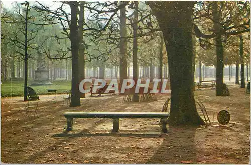 Cartes postales moderne Automne aux Tuileries Paris