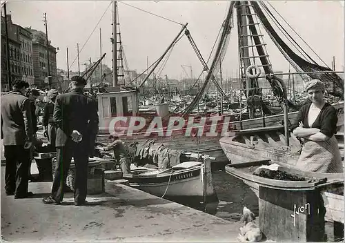 Cartes postales moderne Marseille (Bouches du Rhone) Les Pecheurs Marsellais Bateaux