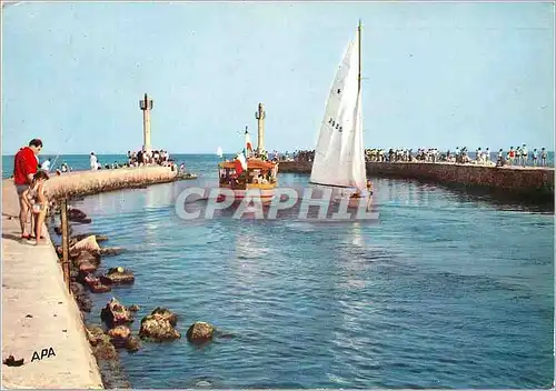 Cartes postales moderne Palavas les Flots (Herault) Le bateau promenade a l'embouchure du canal Bateau