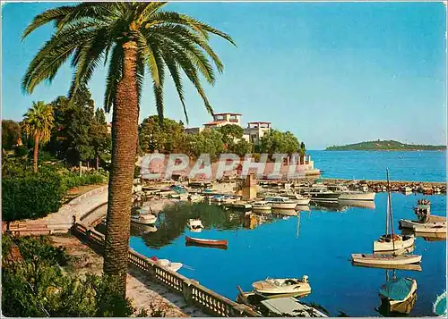 Cartes postales moderne Cote d'Azur Beaulieu sur Mer Le petit port et la villa Kerylos au fond le Cap Ferrat