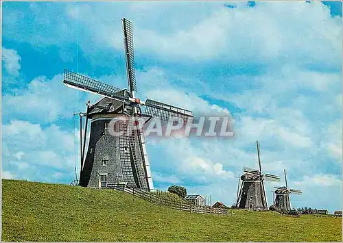 Cartes postales moderne Holladse Molen
