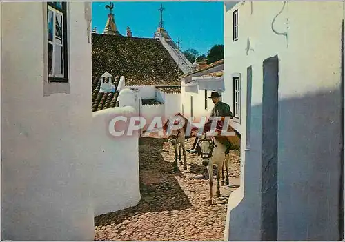 Moderne Karte Sud de la Portugal Algarve Ane Mule