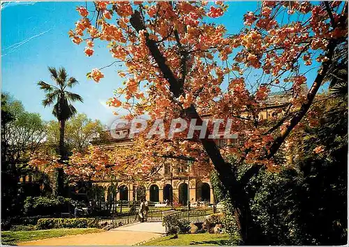 Cartes postales moderne San Sebastien Place de Guipuzcoa