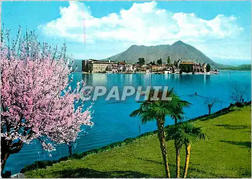 Cartes postales moderne Le Lac Majeur Isola Bella