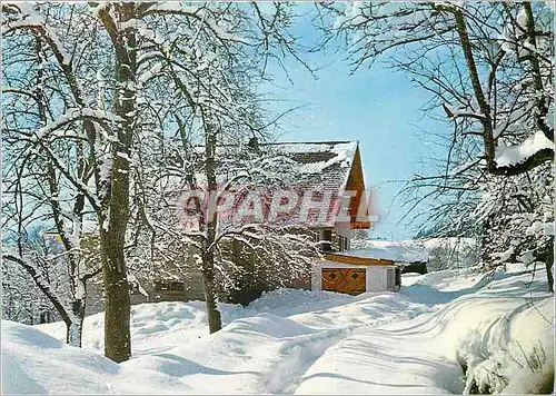 Cartes postales moderne Chalet les Soldanelles Bard alt 950 m