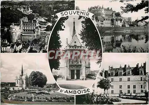 Cartes postales moderne Souvenir d'Amboise