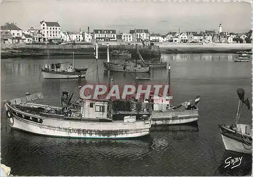 Cartes postales moderne Quiberon (Morbihan) Sardiniers a Port Maria Bateaux