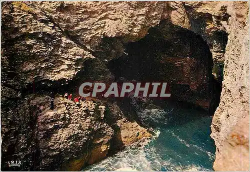 Moderne Karte Belle Ile en Mer La Grotte de l'Aphoticairerie