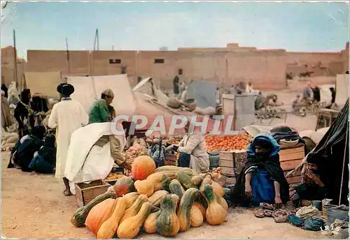 Cartes postales moderne Scenes et Types Goulimine Jour de Souk